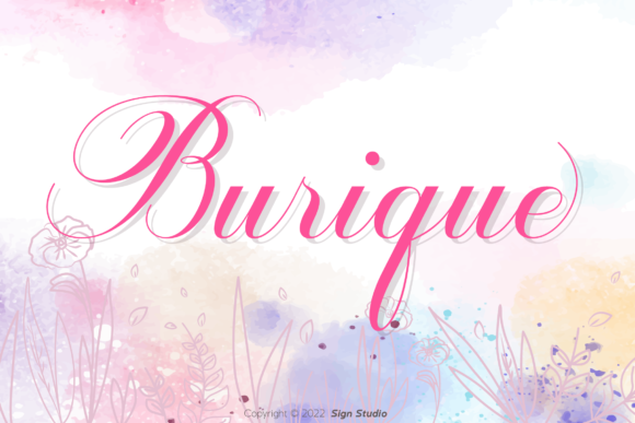 Beautiful Script Font for Branding