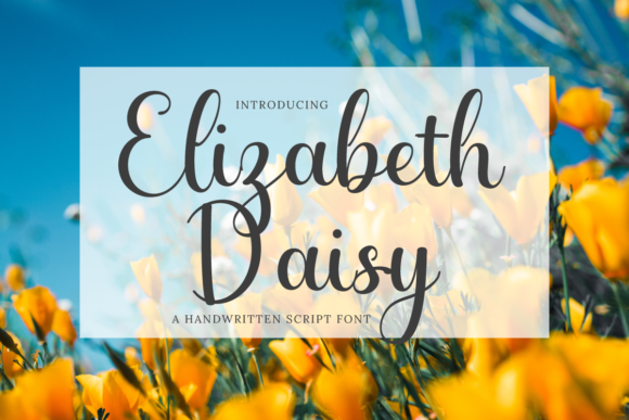 Elizabeth Daisy Font for Elegant Branding