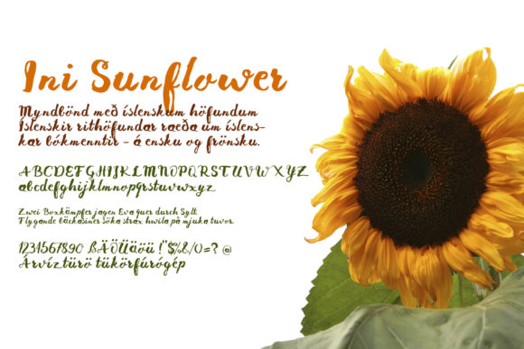Ini Sunflower: A Warm Script Font