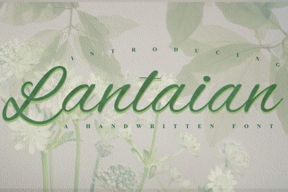 Lantaian Font for Business Branding